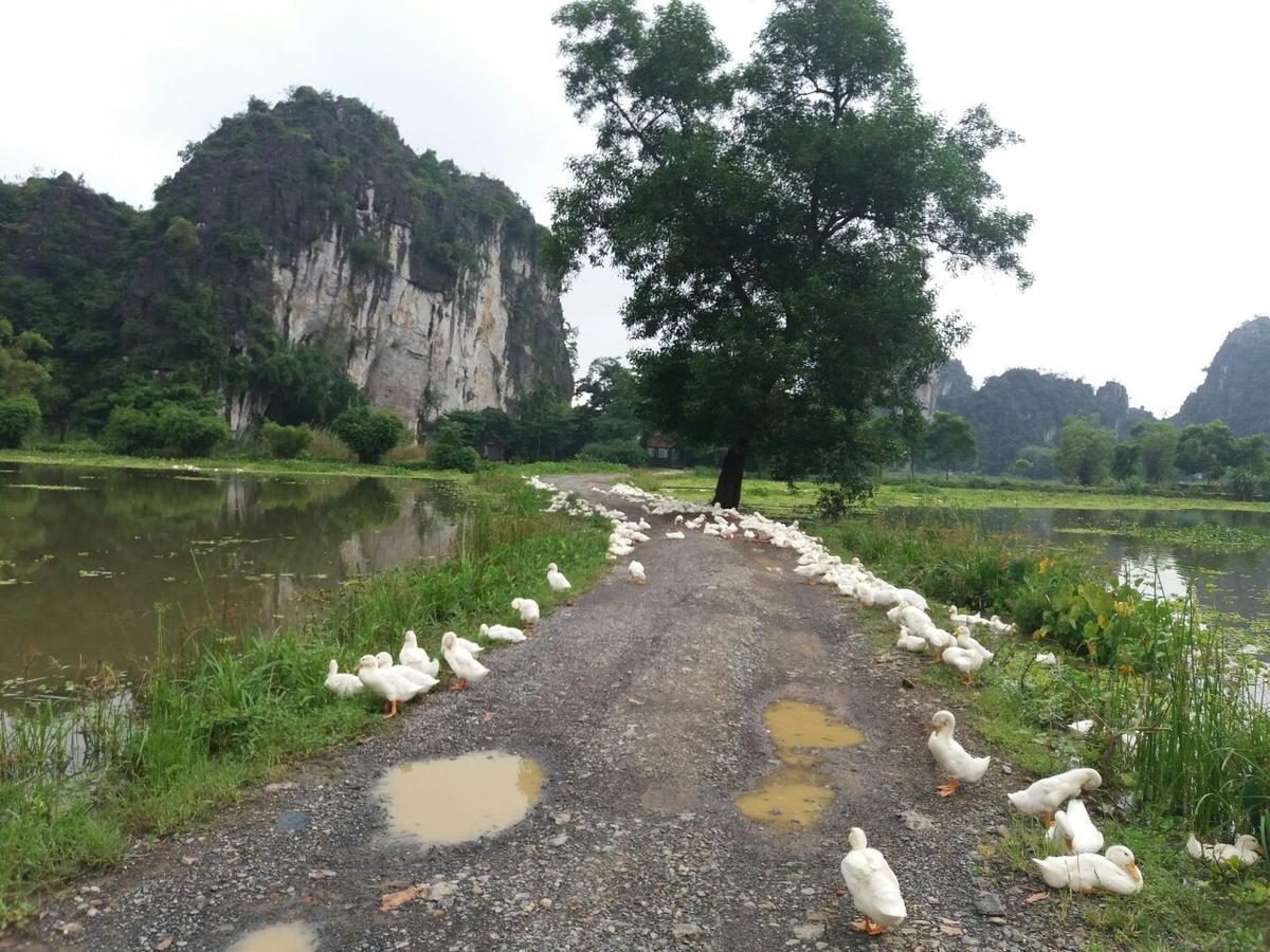 Tam Coc Vinh Thinh Homestay Ninh Binh Exterior foto