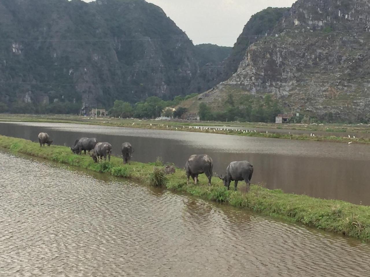 Tam Coc Vinh Thinh Homestay Ninh Binh Exterior foto