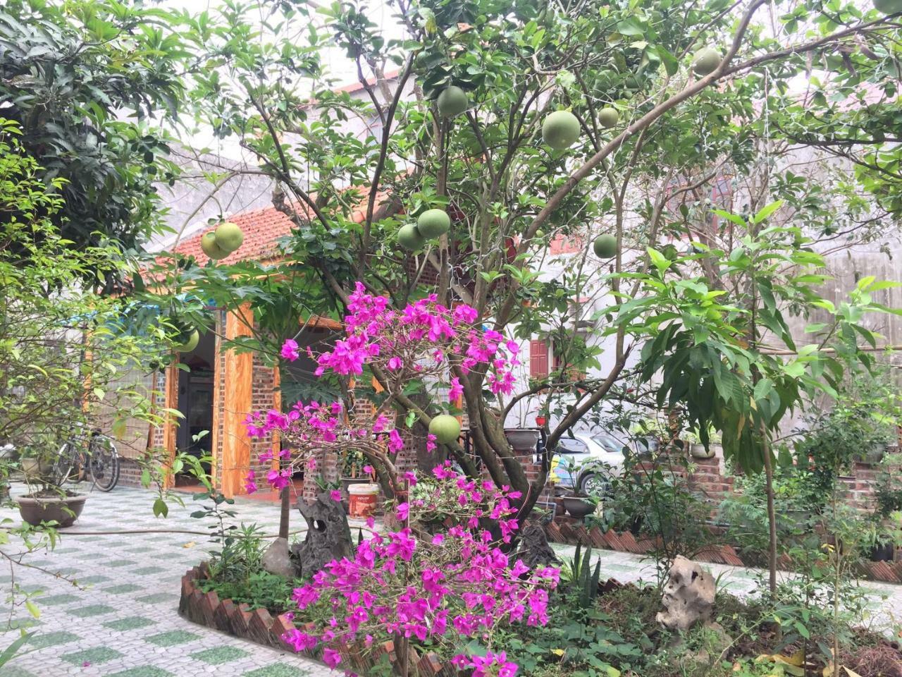 Tam Coc Vinh Thinh Homestay Ninh Binh Exterior foto