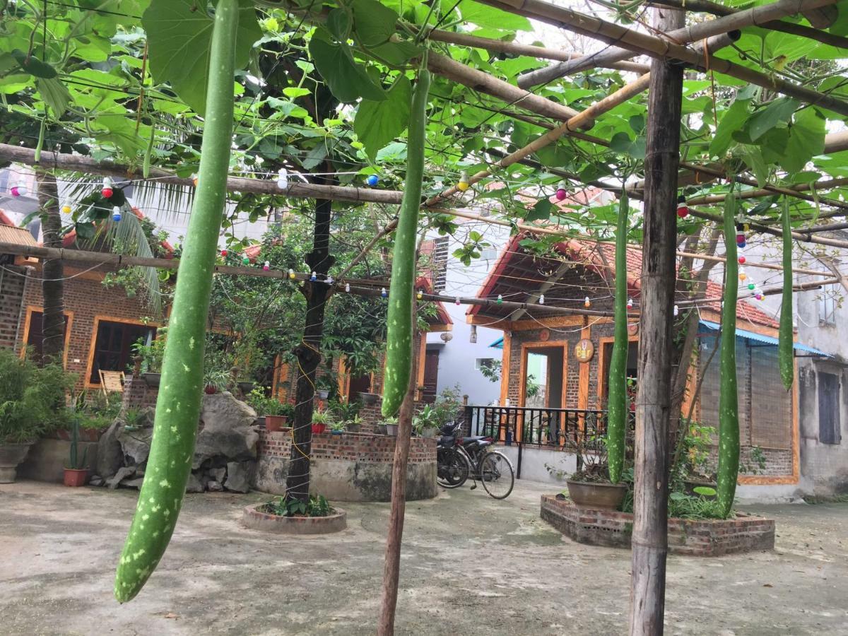 Tam Coc Vinh Thinh Homestay Ninh Binh Exterior foto