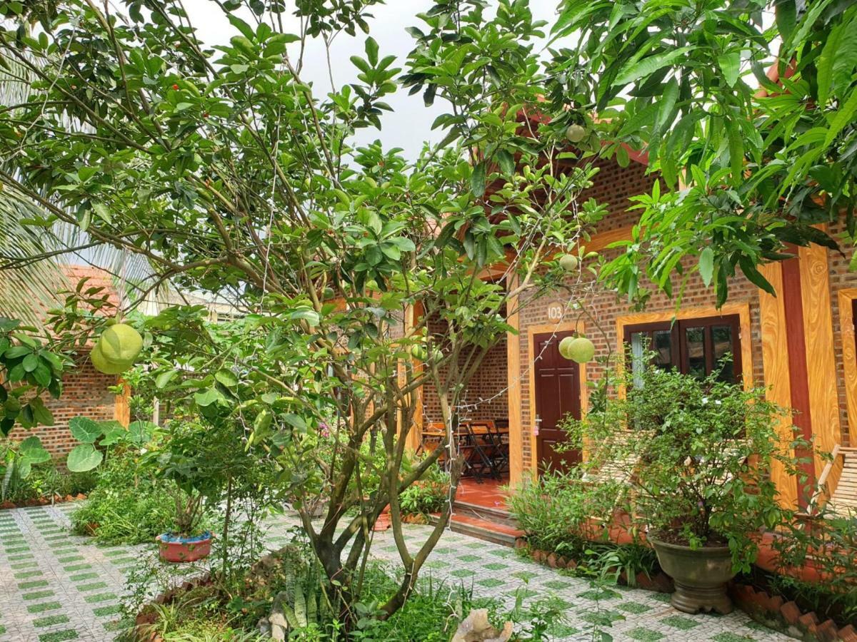 Tam Coc Vinh Thinh Homestay Ninh Binh Exterior foto