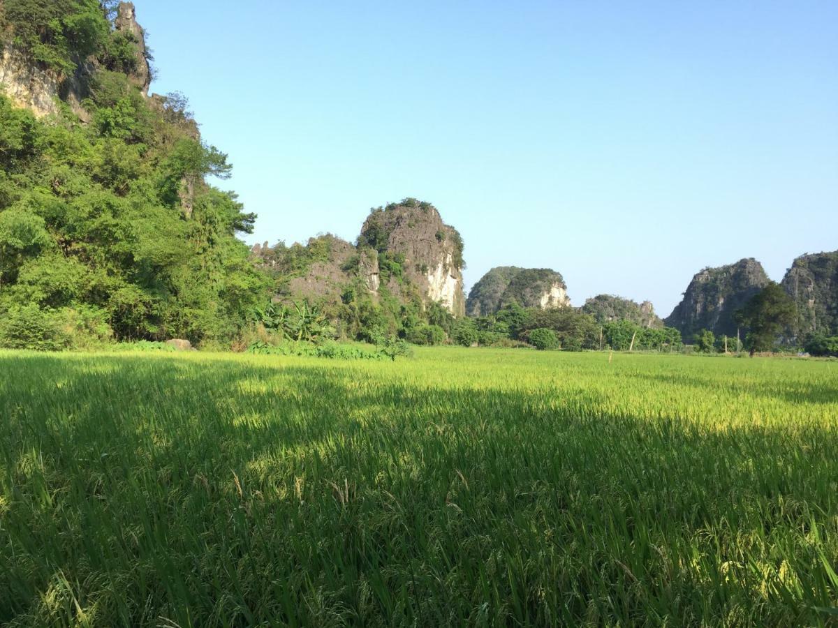 Tam Coc Vinh Thinh Homestay Ninh Binh Exterior foto