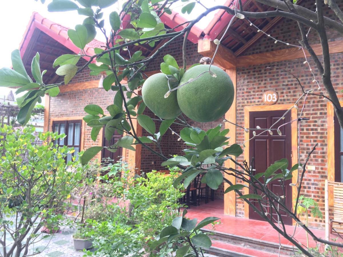 Tam Coc Vinh Thinh Homestay Ninh Binh Exterior foto